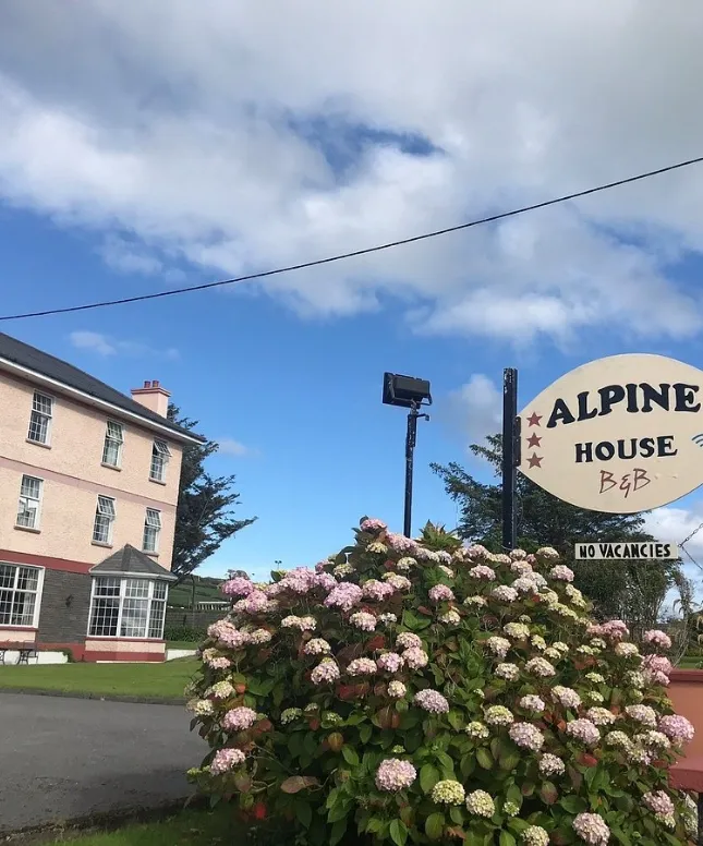 A large pink and gray building with a "No Vacancies" sign for Alpine House B&B. Hydrangeas bloom in front. The sky is partly cloudy.