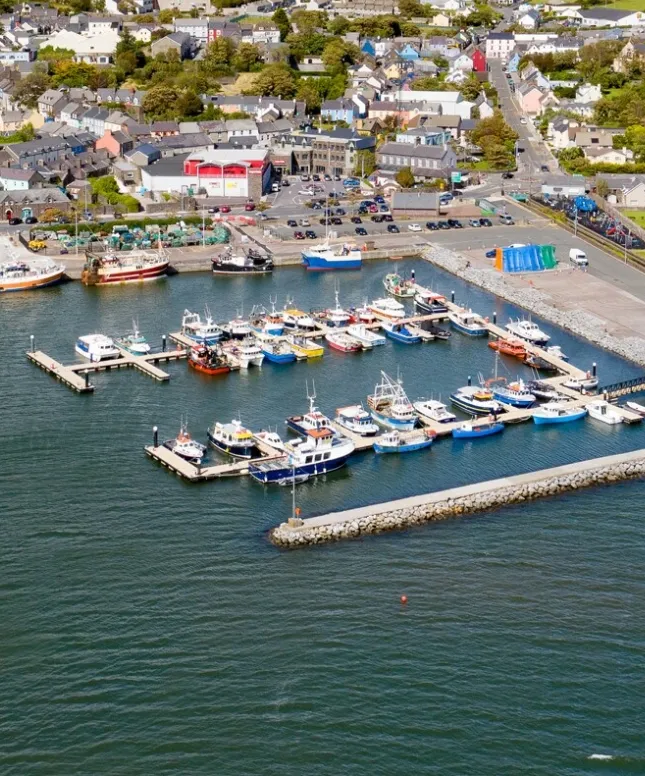 A coastal town with a marina featuring multiple boats docked along piers. The town has numerous buildings and a few green spaces. The sea is calm, and the sky is partly cloudy.