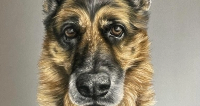 A realistic painting of a German Shepherd with a focused gaze. The dog has brown eyes, pointed ears, and a mix of black and tan fur. The background is a muted gray, enhancing the details of the dog's facial features.